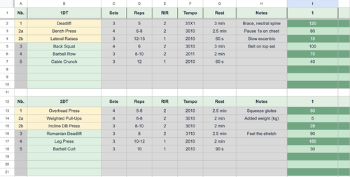 Training plan: five days with sets, reps, RIR, tempo, rest and notes
